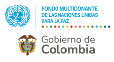 Convocatoria para impulsar procesos de territorialización de la Agenda de las Mujeres, la Paz y la Seguridad en el marco del PAN de la Resolución 1325 